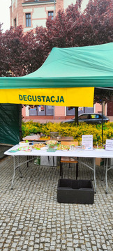 Expo Świnoujście